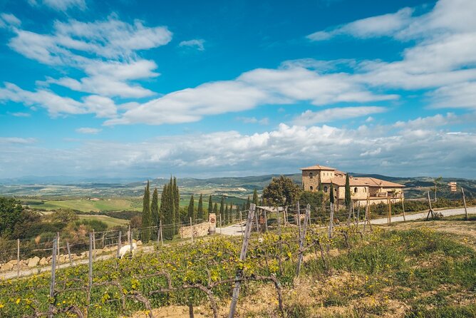 Visit to the Cellar With Wine & Food Tasting Over the Val Dorcia - Featured Tuscan Cured Meats