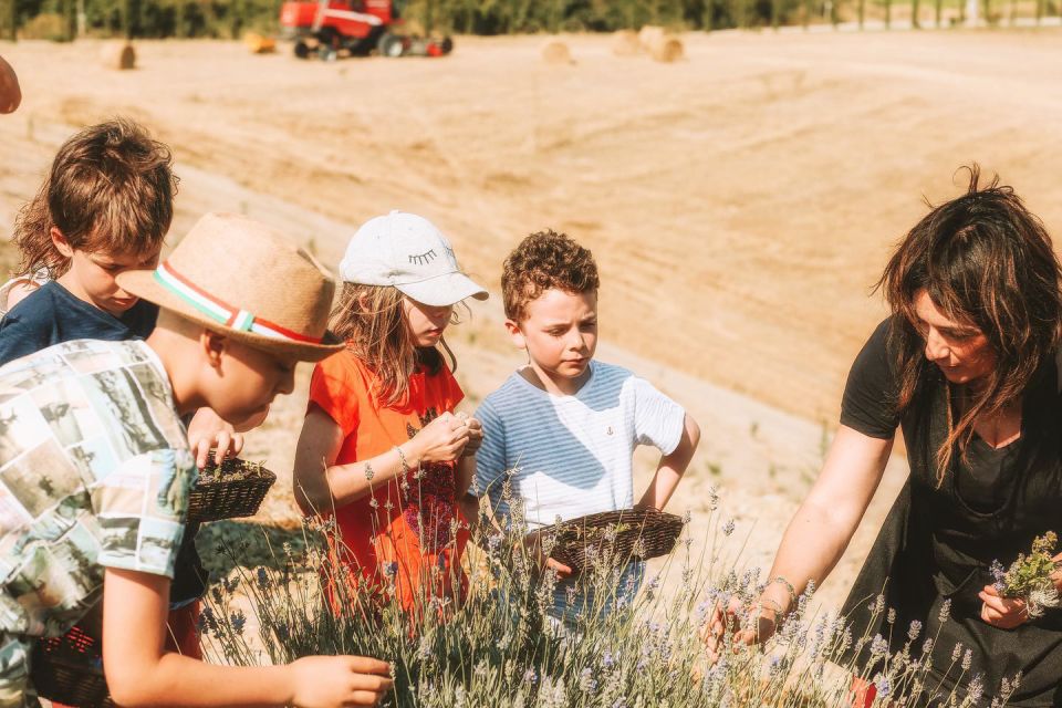 Volterra: Family-Friendly Herbal Laboratory Workshop - Activities for Children