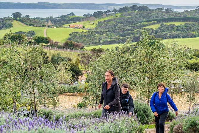 Waiheke Island History and Heritage Tour - What to Expect on the Tour