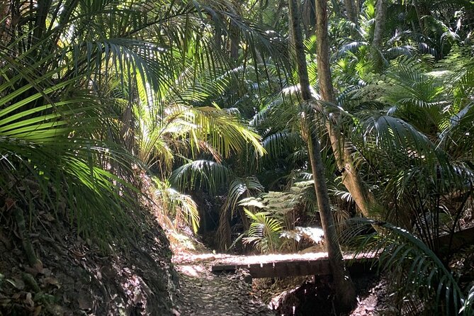 Waiheke Island Private Forest Therapy Walk - Transportation Options