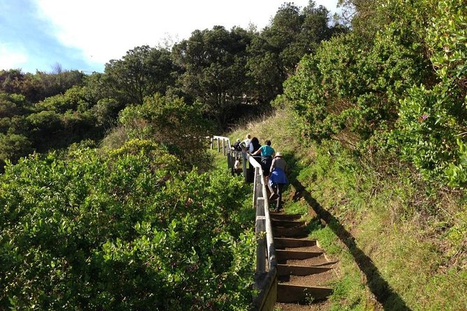 Waiheke Island Private Guided Te Ara Hura Walk - What to Expect on the Walk