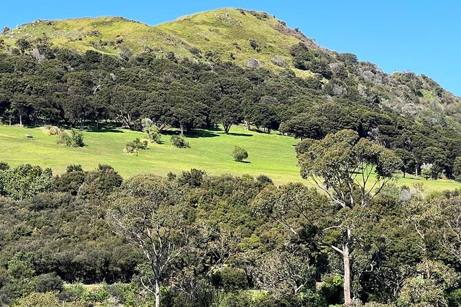 Waiheke Island Private History and Heritage Tour - Tour Experience Highlights