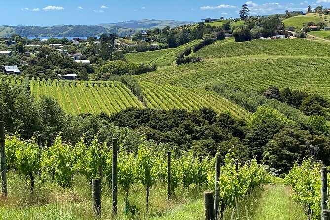 Waiheke Island: Sip & Savour Tour - Pickup Information