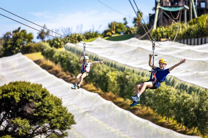 Waiheke Island: Zipline And Forest Walk - Safety and Guidelines