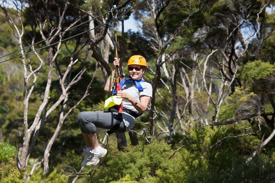 Waiheke Island: Zipline and Native Forest Adventure Trip - Important Information