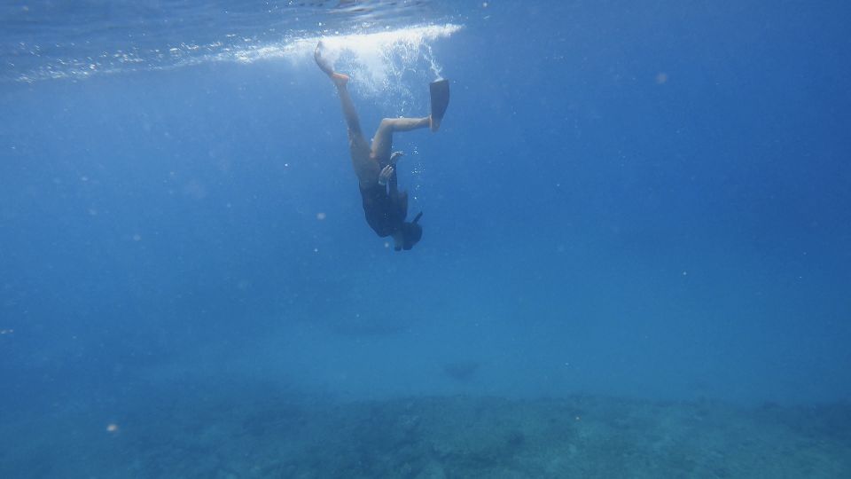 Waikiki: Honolulu Beginner Snorkeling Tour With Videos - Snorkeling Experience