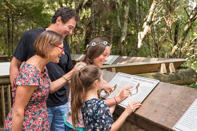 Waitangi Treaty Grounds Admission - Cultural Performances Overview