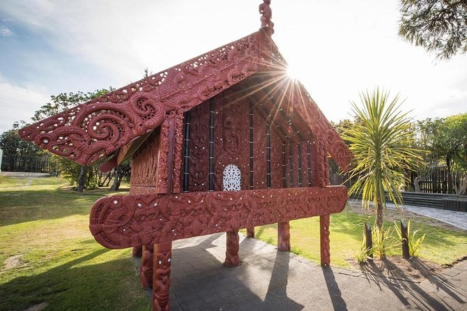 Waitomo Caves & Rotorua Small Group Tour Including Te Puia From Auckland - Tour Guide Experience