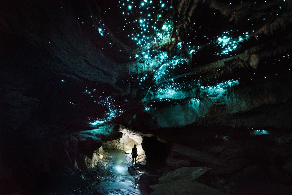 Waitomo: Guided Eco-Cave Tour - Experience Description