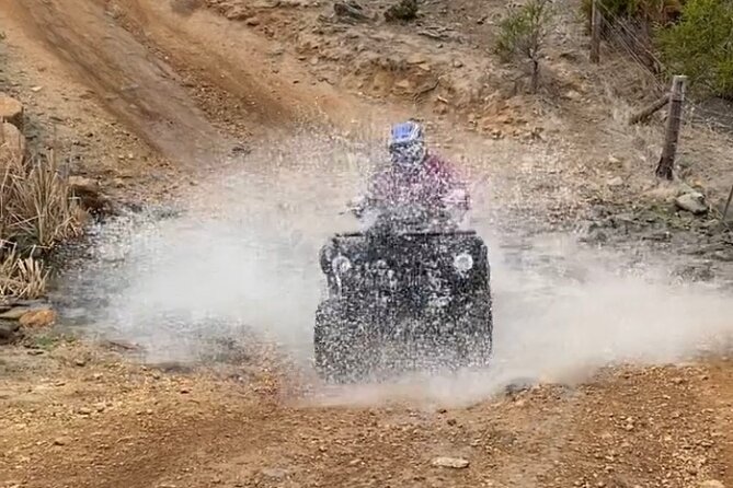 Waitpinga Farm Quad Bike Adventure Tour - Guest Experiences and Reviews