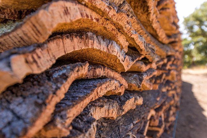 Walk on the Alentejo Cork Forest With Optional Lunch - Optional Traditional Lunch