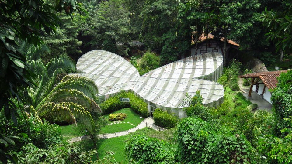 Walking Tour José Celestino Mutis Botanical Garden 3 Hrs - Guided Experience