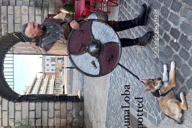 Walking Tour of Dublin'S Viking/Medieval Quarter With a Viking - Highlights of the Tour