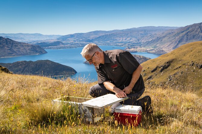 Wanaka Nature Encounter: Lake Cruise and 4WD Safari - Included Amenities