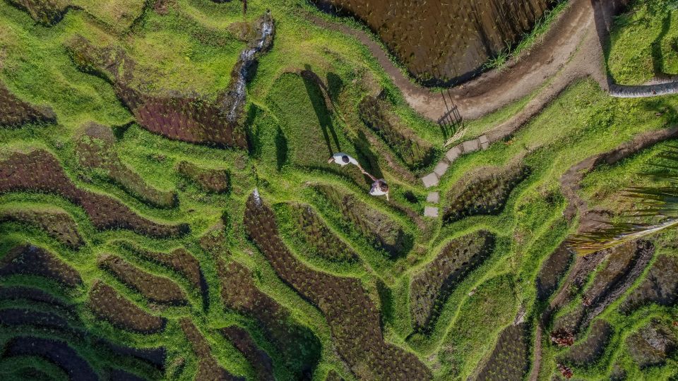 Wanderlust Birthday Photo and Video With Drone - Pepito Market Andong