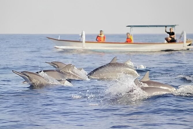 Watching Dolphin Tour at Lovina Beach - Pricing Structure and Payment