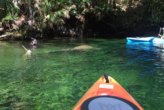 Wekiva River Guided Kayak Tour - Safety and Preparation