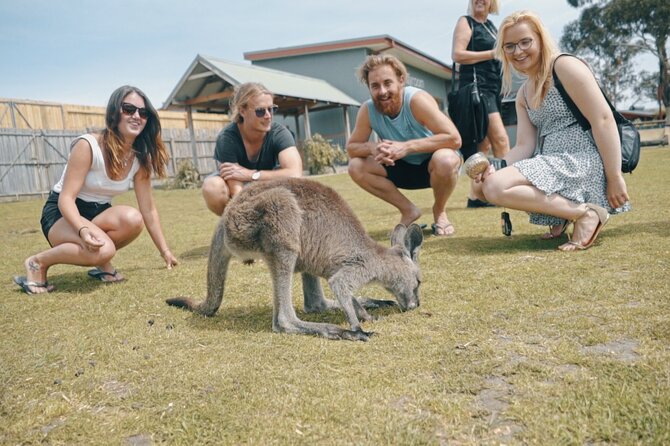 Welcome to Melbourne - Inclusions and Amenities