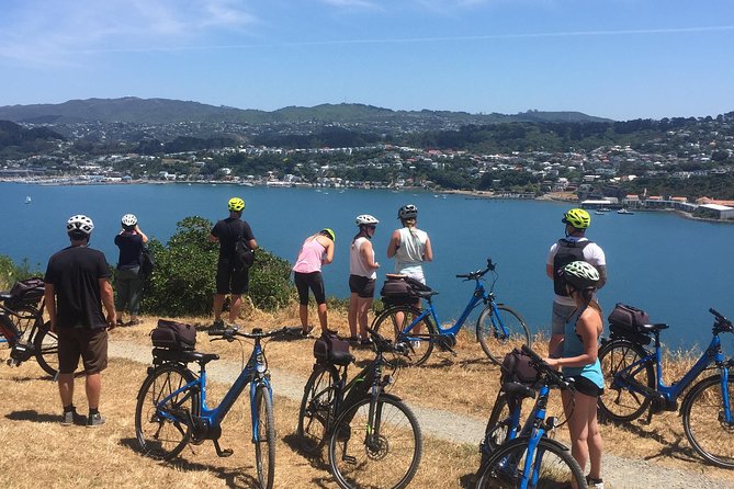 Wellington Electric Bike Tour - Inclusions and Logistics