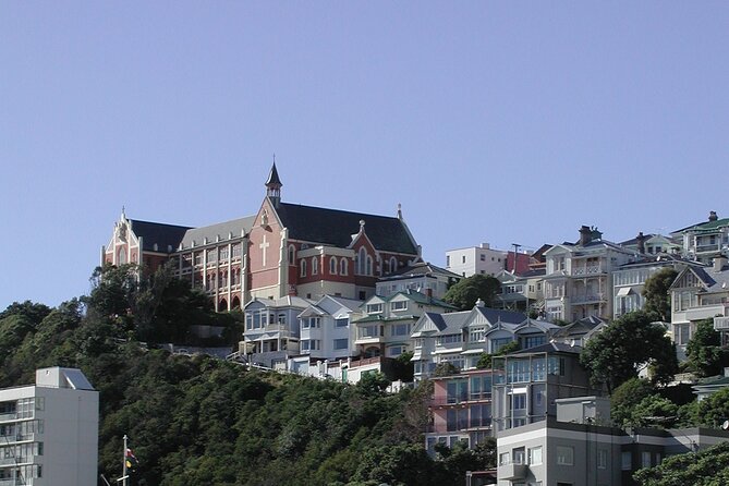Wellington Shore Excursion City Sightseeing Tour - Additional Information