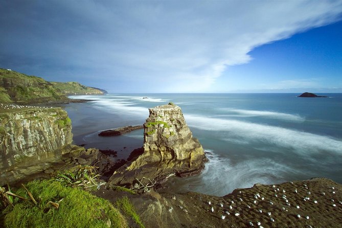 West Coast Discovery - Piha Beach or Muriwai Beach From Auckland - Tour Experience and Feedback