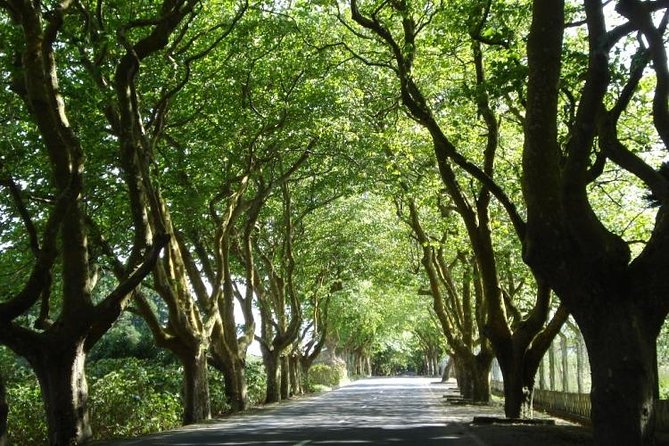 West Coast Van Tour (Half Day) | Terceira Island - Visit to São Mateus