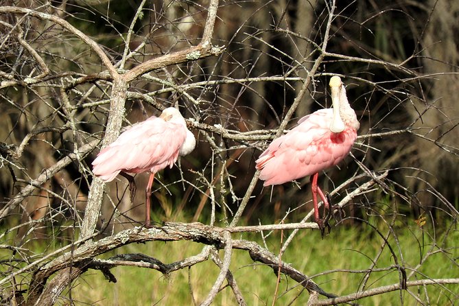 Western Everglades Adventure Tour - Meeting and Transportation