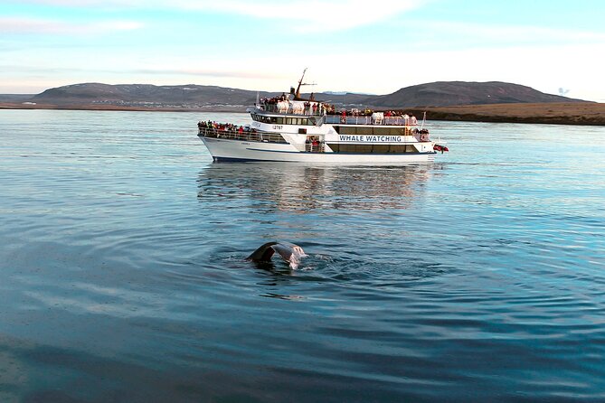 Whale-Watching Boat Tour With Expert Guide From Reykjavik - Accessibility Features
