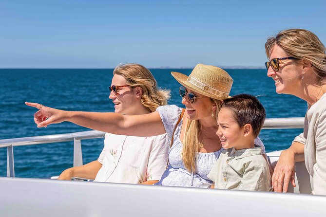 Whale Watching by Sea World Cruises - Customer Feedback Highlights