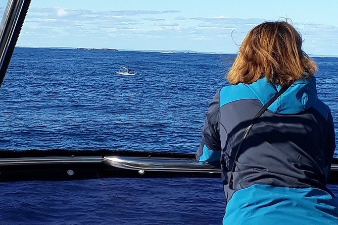Whale Watching From Augusta in Western Australia - What to Expect on Tour