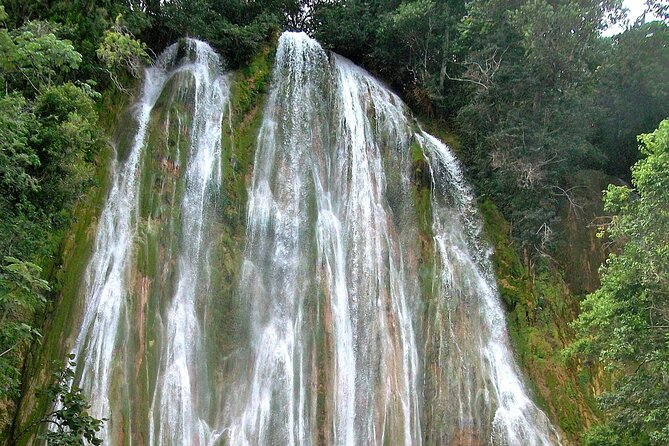 Whale Watching & Limón Waterfall Day Trip - Health and Safety Guidelines