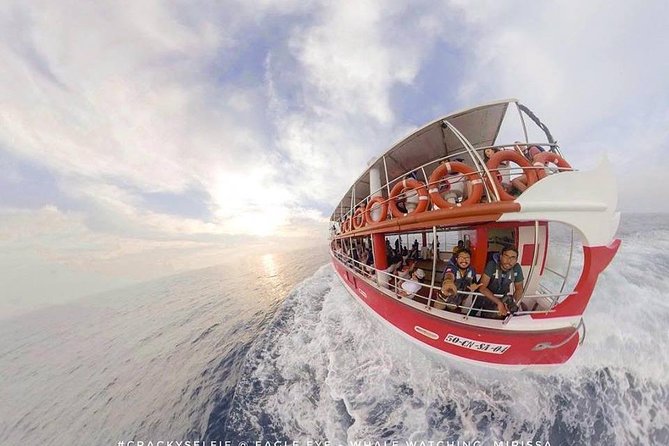 Whale Watching Mirissa With Eagle Eye - Hotel Pickup and Dropoff Service
