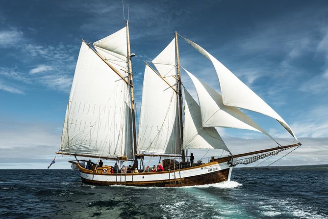 Whale Watching on a Traditional Oak Sailing Ship From Husavik - Refreshments Included