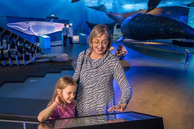 Whales Of Iceland Admission Ticket - Reviews From Previous Visitors