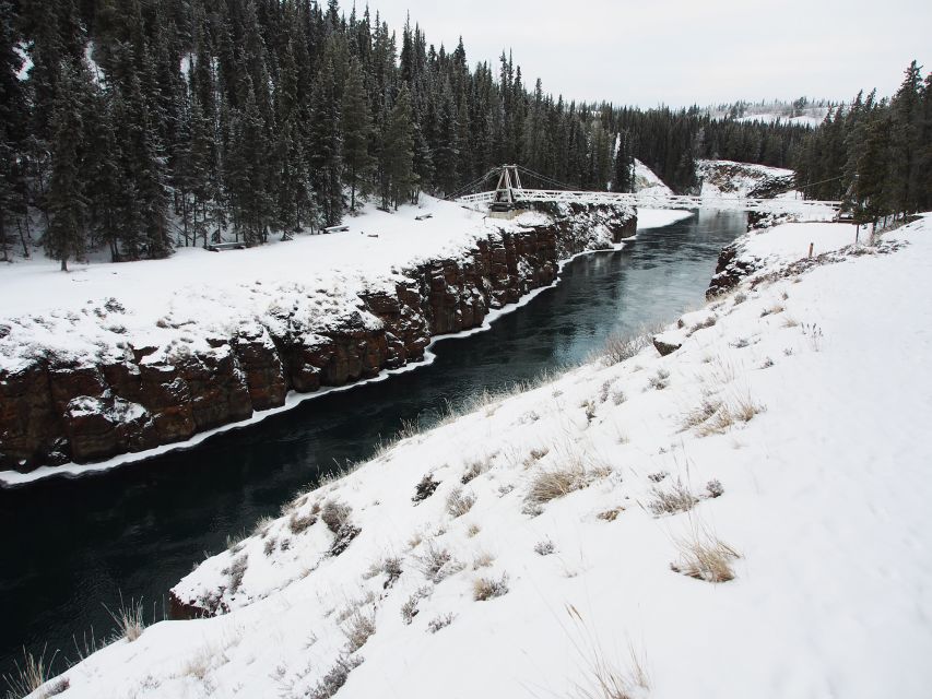 Whitehorse: Half-Day Snowshoeing Tour - Pricing and Booking