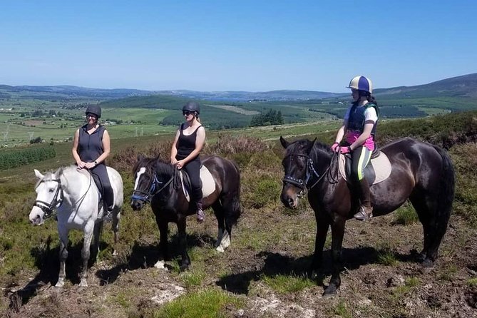 Wicklow Mountains Horse Trekking - Health and Safety