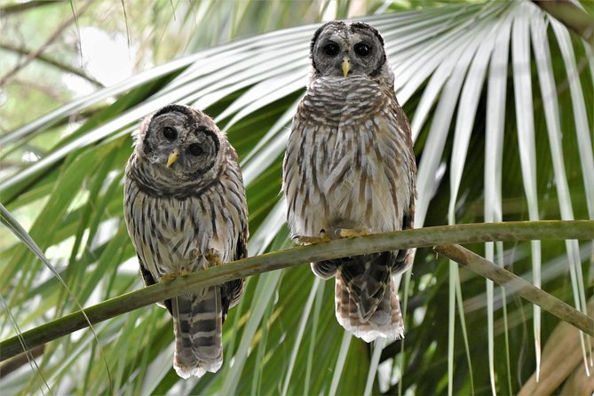 Wild & Scenic Loxahatchee River Guided Tour - Meeting Location