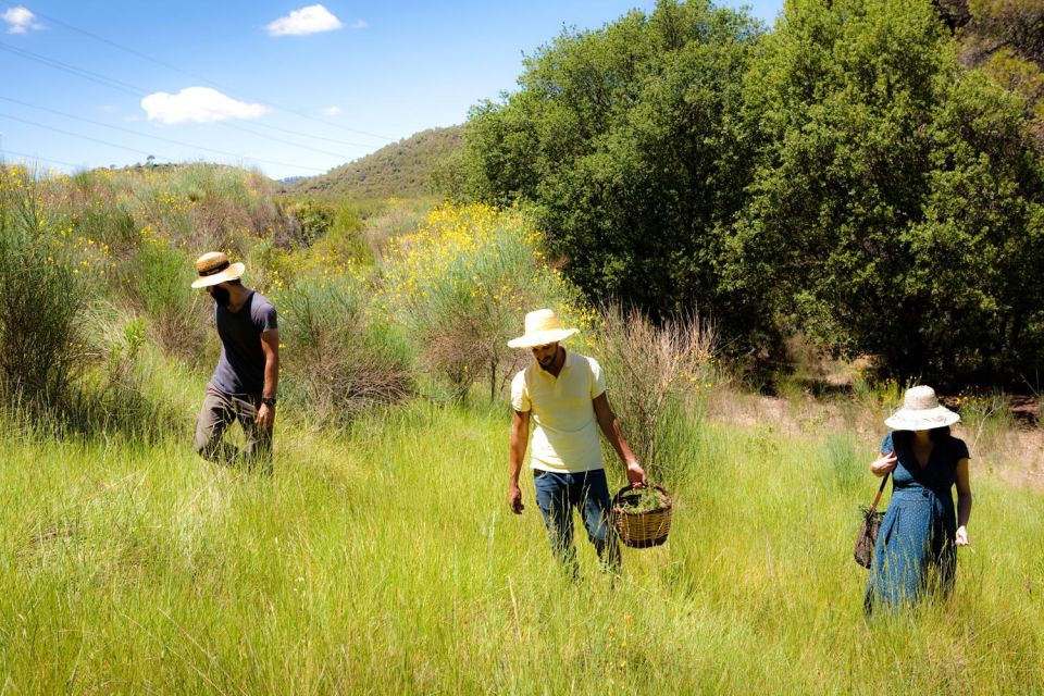 Wild Walk: Discover the Local Wild Flora - Itinerary and Highlights