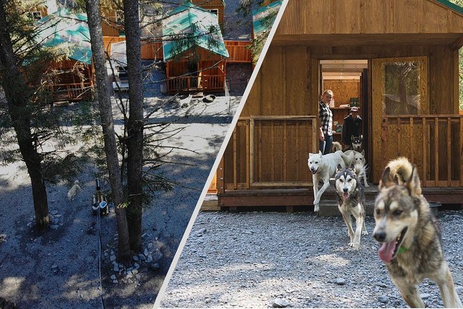 Wilderness Dog Sled Ride and Tour in Seward - Tour Pricing and Booking