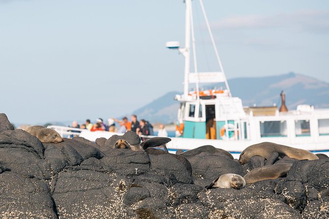 Wildlife Cruise With Transport - Accessibility Features