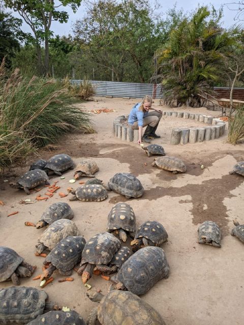 Wildlife Rescue Center and Preservation Park - Wildlife Encounter