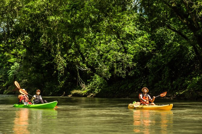 Wildlife Safari Float by Kayak in Peñas Blancas River From Arenal - Wildlife Encounters