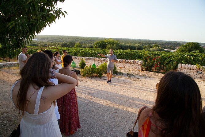 Wine Experience: Vineyard, Wines and Food - Guest Reviews and Highlights