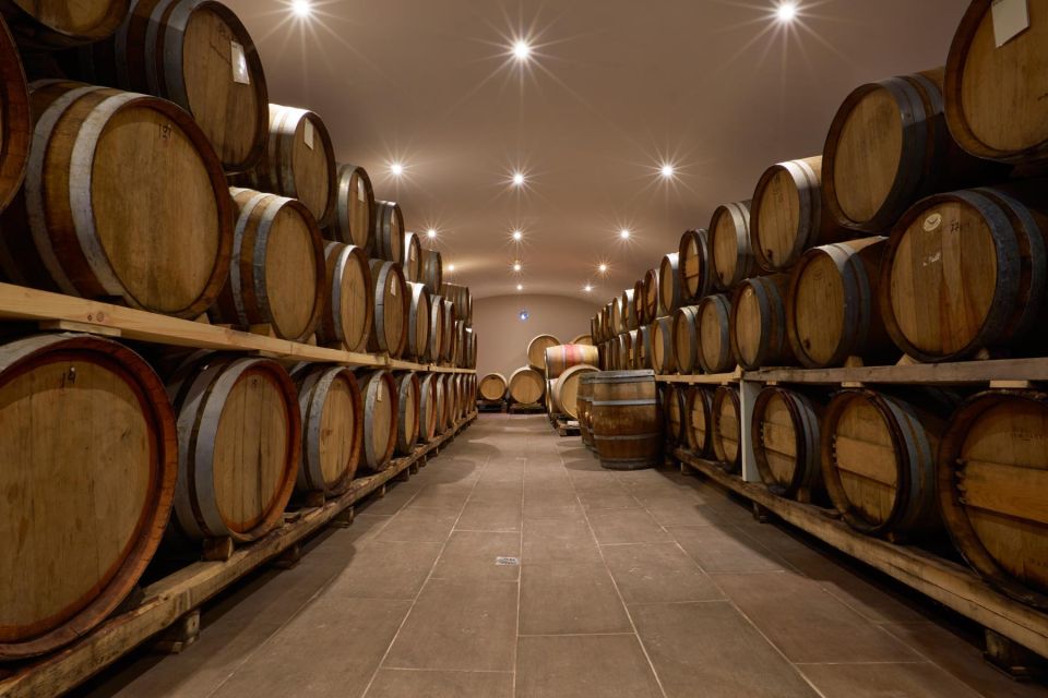Wine, Food & Greek Sweets - Greek Meze & Wine Tasting - Itinerary Highlights