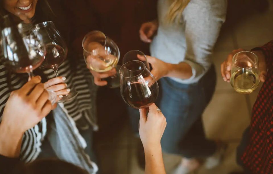 Wine Idols: Meet El Enemigo by Alejandro Vigil - Wine Selection and Pairings