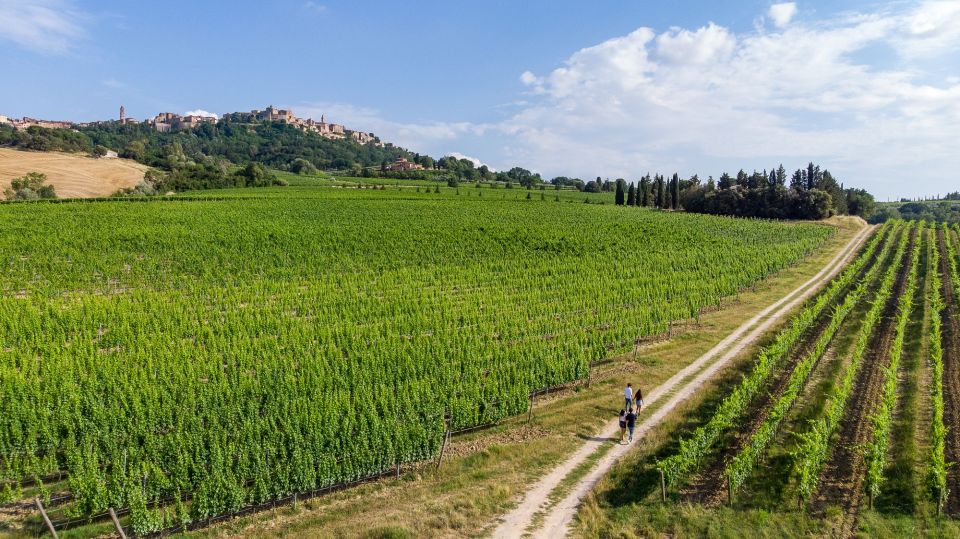 Wine Lovers Experience in Montepulciano: Half Day - Exploring Montepulciano Wineries