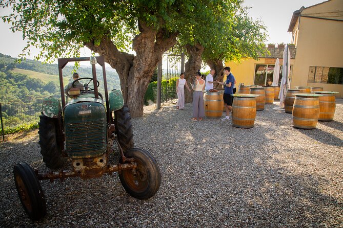 Wine Making Experience and Gourmet Dinner at a Boutique Winery in Tuscany - Gourmet Dinner Menu