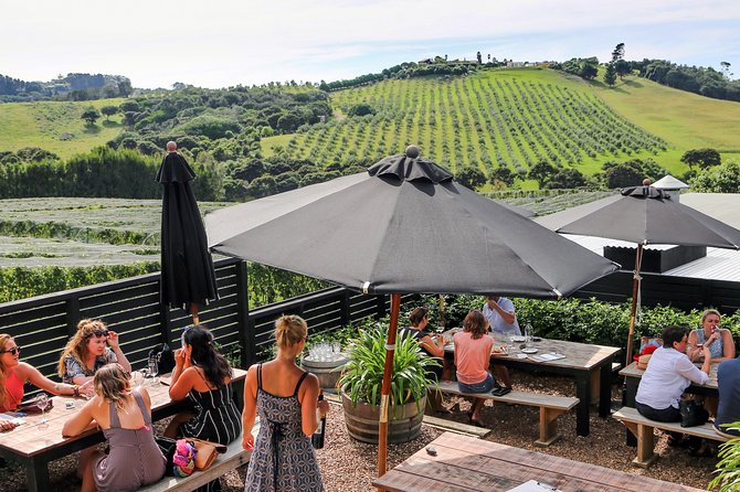WINE on Waiheke PREMIUM WINE Full Days Scenic and WINE Tasting - Vineyard Experiences