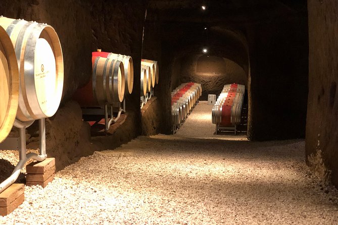 Wine Tasting and Winery Tour - Wine Selection and Tasting