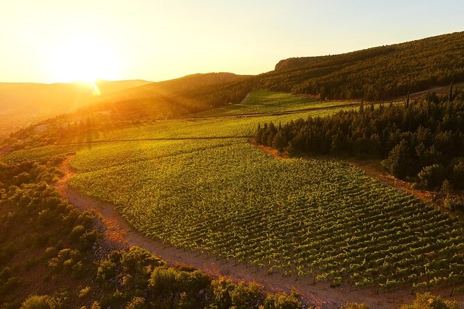 Wine Tasting Grabovac Tour From Makarska - Scenic Highlights